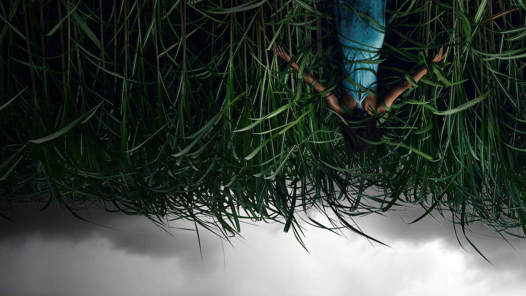 In The Tall Grass Review It Doesn T Really Grow On You Den Of Geek